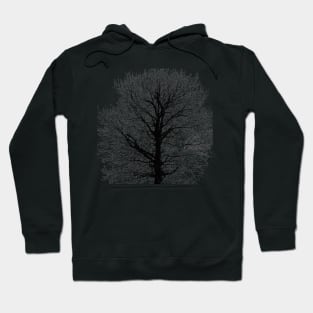 Black tree Hoodie